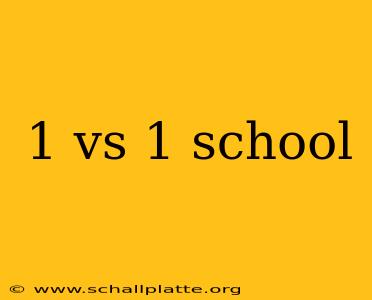 1 vs 1 school