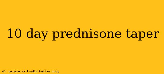 10 day prednisone taper