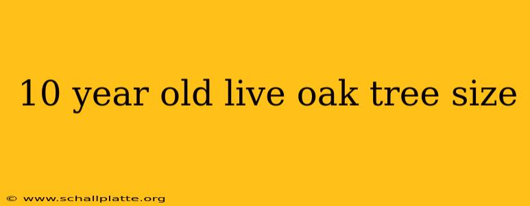 10 year old live oak tree size