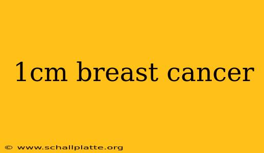1cm breast cancer