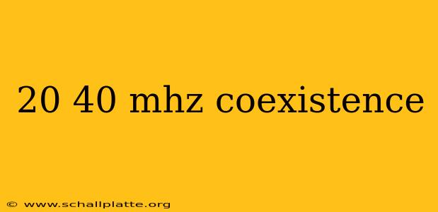 20 40 mhz coexistence