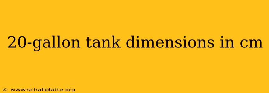 20-gallon tank dimensions in cm
