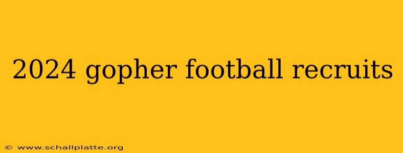 2024 gopher football recruits