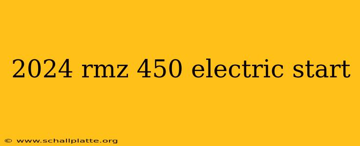 2024 rmz 450 electric start