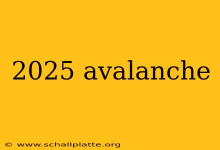 2025 avalanche