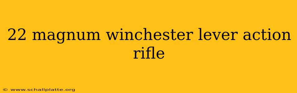 22 magnum winchester lever action rifle