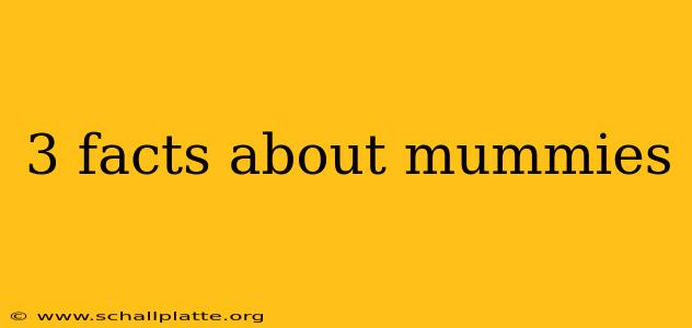 3 facts about mummies
