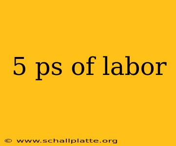 5 ps of labor