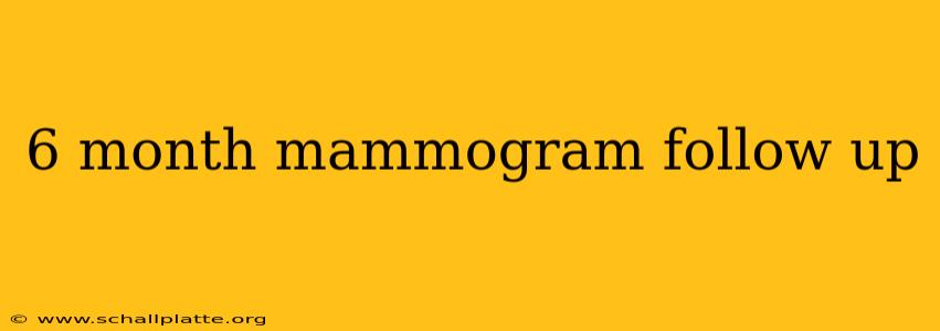 6 month mammogram follow up