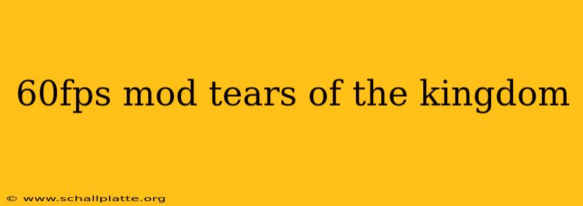 60fps mod tears of the kingdom