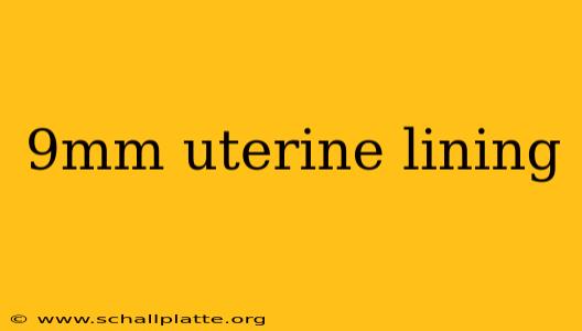 9mm uterine lining
