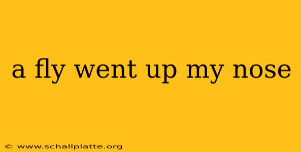 a fly went up my nose