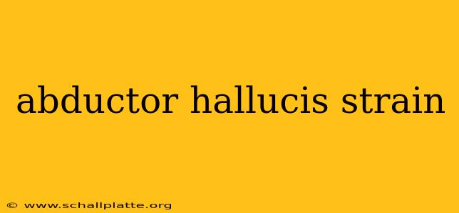 abductor hallucis strain