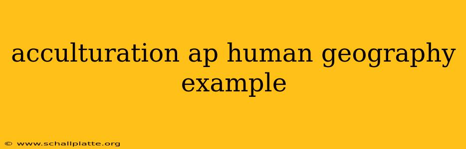 acculturation ap human geography example