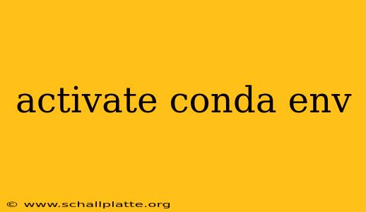 activate conda env