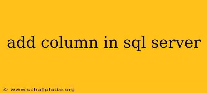 add column in sql server