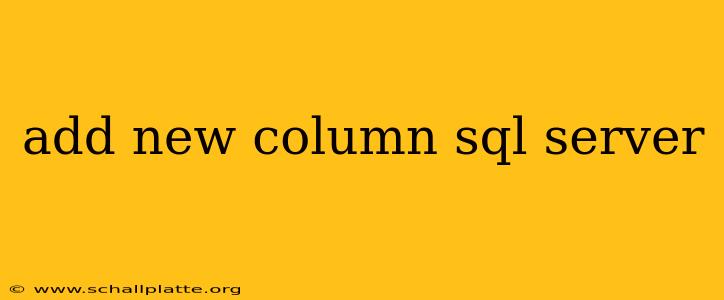 add new column sql server