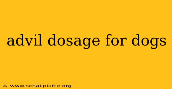 advil dosage for dogs