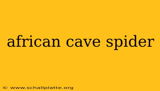 african cave spider