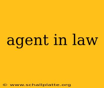 agent in law