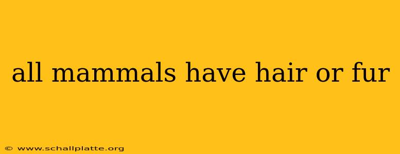 all mammals have hair or fur