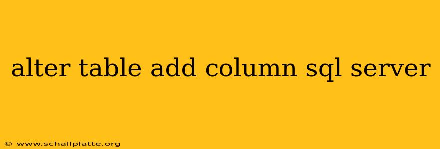 alter table add column sql server