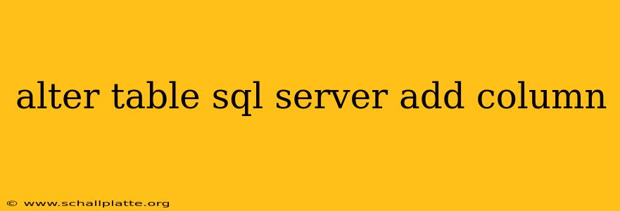 alter table sql server add column