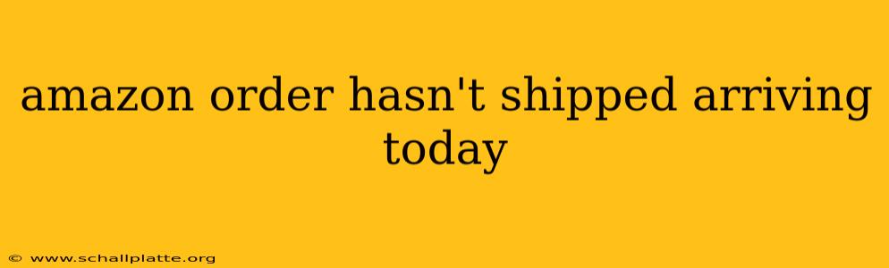 amazon order hasn't shipped arriving today