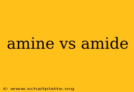 amine vs amide