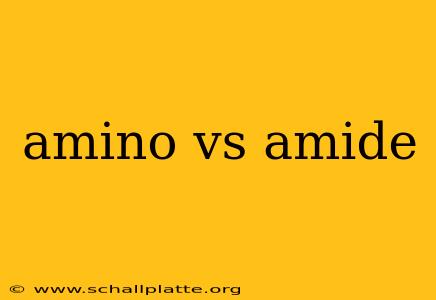 amino vs amide