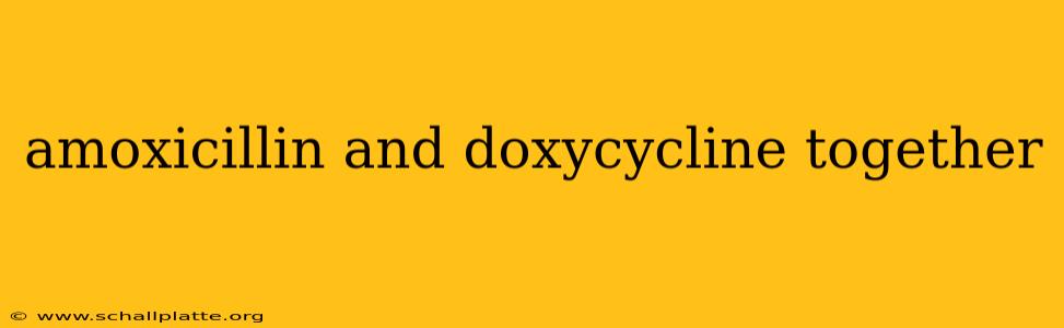 amoxicillin and doxycycline together