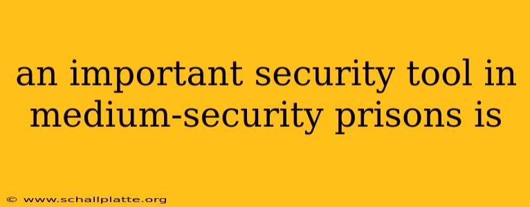 an important security tool in medium-security prisons is