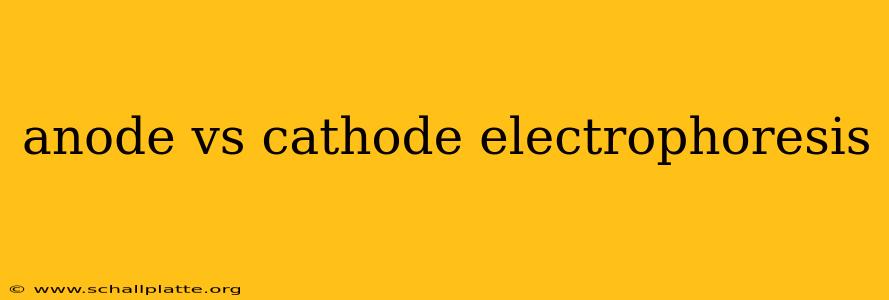 anode vs cathode electrophoresis