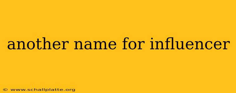 another name for influencer