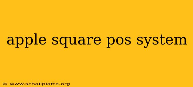 apple square pos system