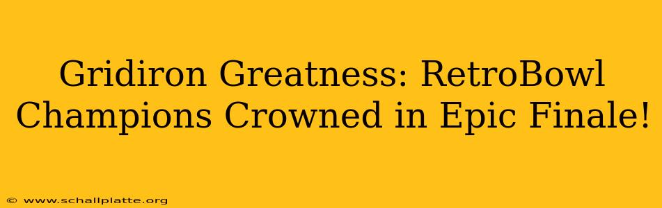 Gridiron Greatness: RetroBowl Champions Crowned in Epic Finale!
