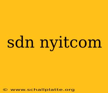 sdn nyitcom