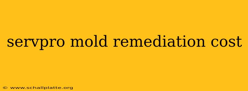 servpro mold remediation cost