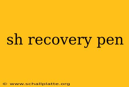 sh recovery pen