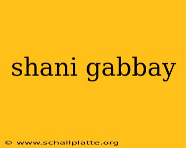 shani gabbay
