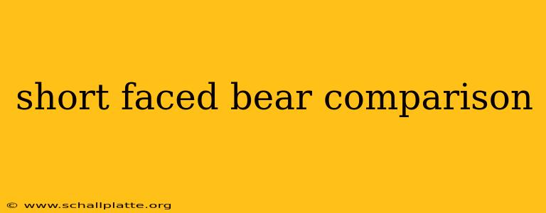 short faced bear comparison