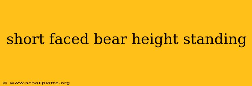 short faced bear height standing