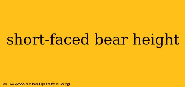 short-faced bear height