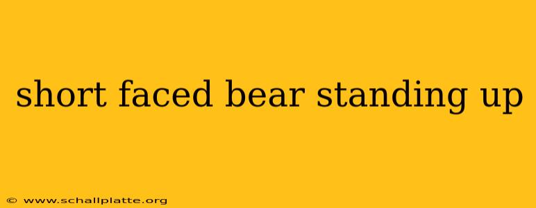 short faced bear standing up