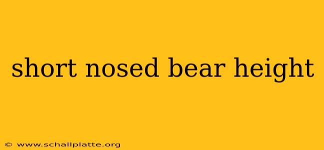 short nosed bear height