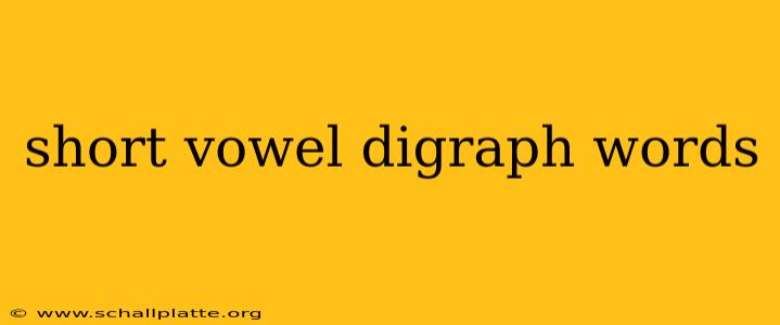 short vowel digraph words