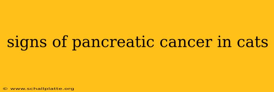signs of pancreatic cancer in cats