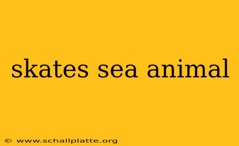 skates sea animal