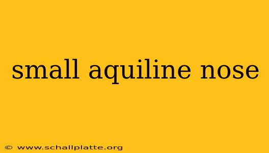 small aquiline nose