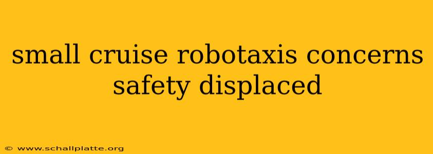 small cruise robotaxis concerns safety displaced